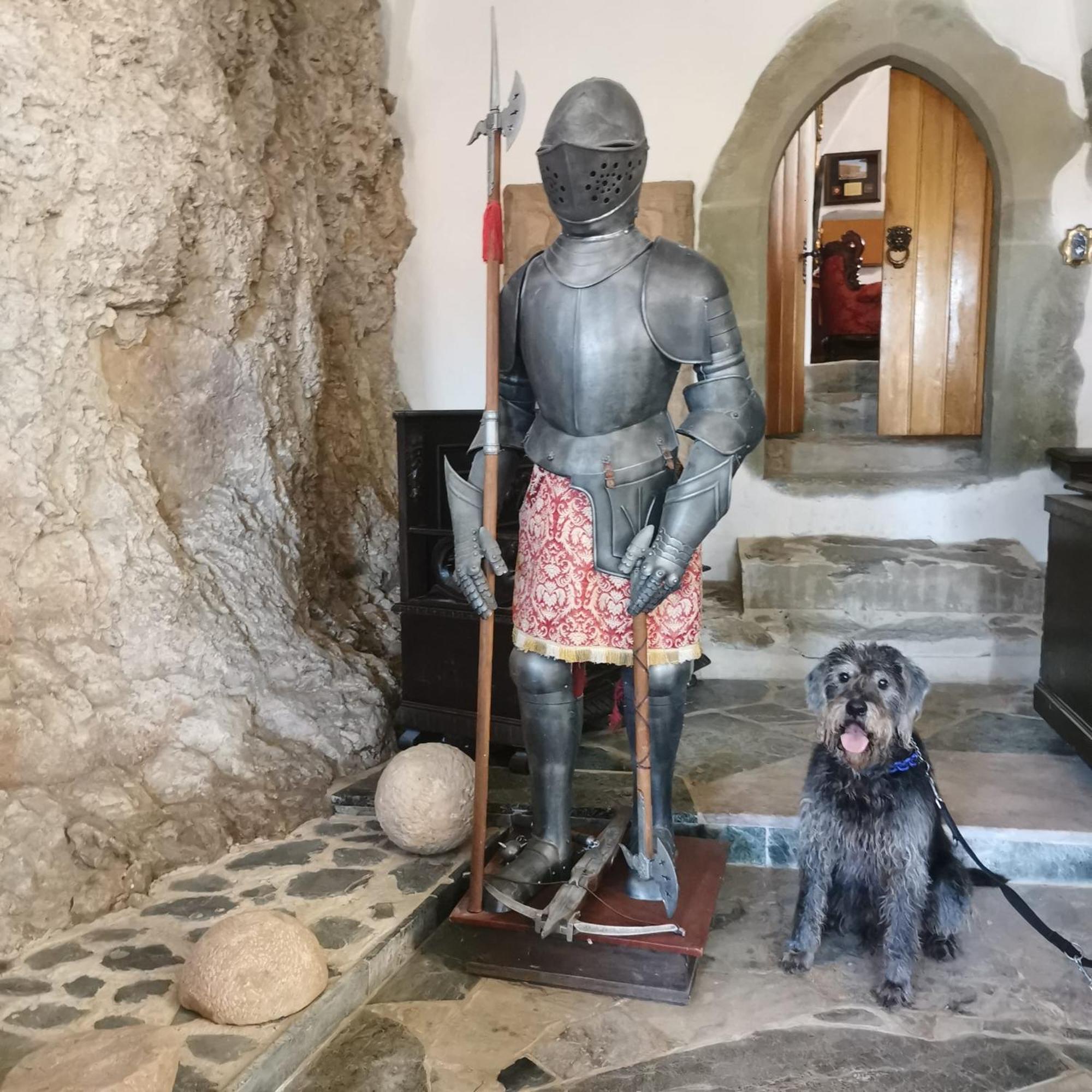 Burg Hermannstein - Kings Room Wetzlar Buitenkant foto